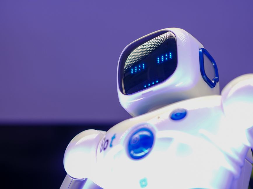 Humanoidni robot